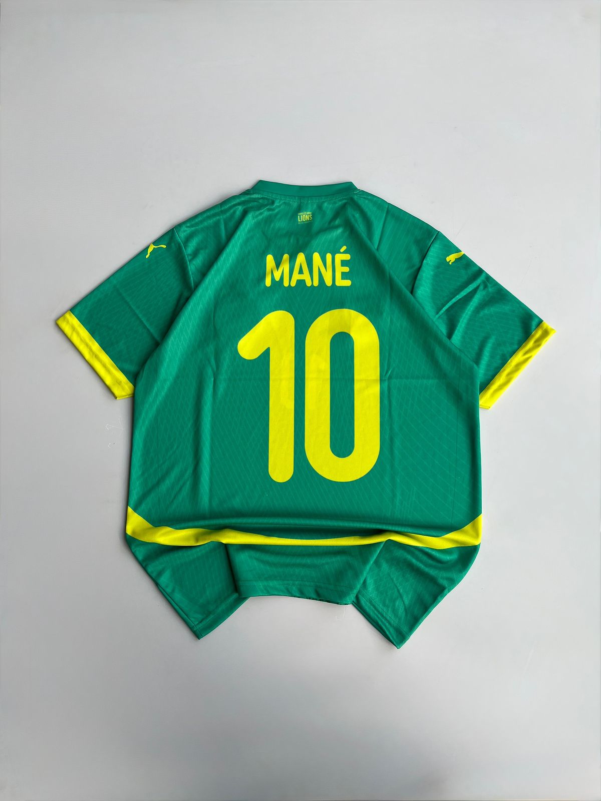 Senegal Home Jersey (Embroided)